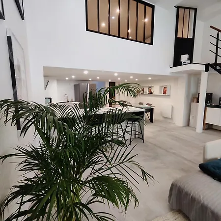 Apartment Beautiful & Loft In Center *